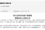 恒大足校破产重整案已被受理！已资不抵债 总负债28亿  学生666人